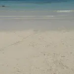 Estrella Marina كوستا دي أنتيجوا