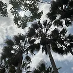 شقة Estrella Marina